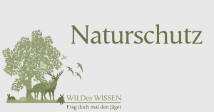 Was ist eigentlich Hege? Wildes Wissen